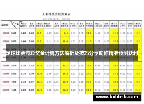 足球比赛竞彩奖金计算方法解析及技巧分享助你精准预测获利